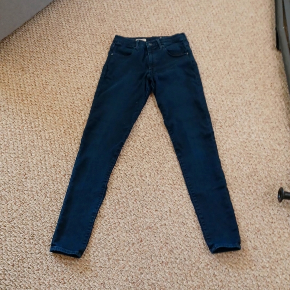 Adriano Goldschmied skinny high rise 29R
